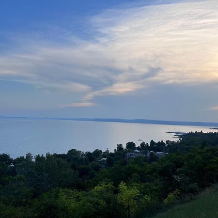 Balatonakarattya Magaspartヴィラ エクステリア 写真